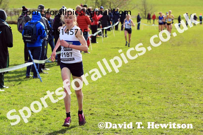 Senior Womens 2022 CAU Inter Counties Cross Country, Prestwold Hall, Loughborough.  Photo: David T. Hewitson/Sports for All Pics